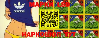 прущие грибы Усть-Джегута