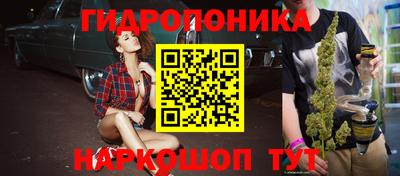 прущие грибы Усть-Джегута