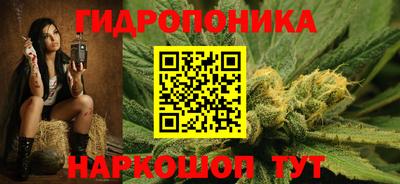 прущие грибы Усть-Джегута