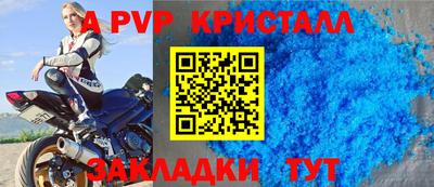 прущие грибы Усть-Джегута
