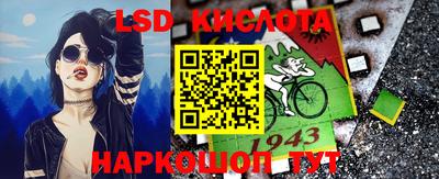прущие грибы Усть-Джегута